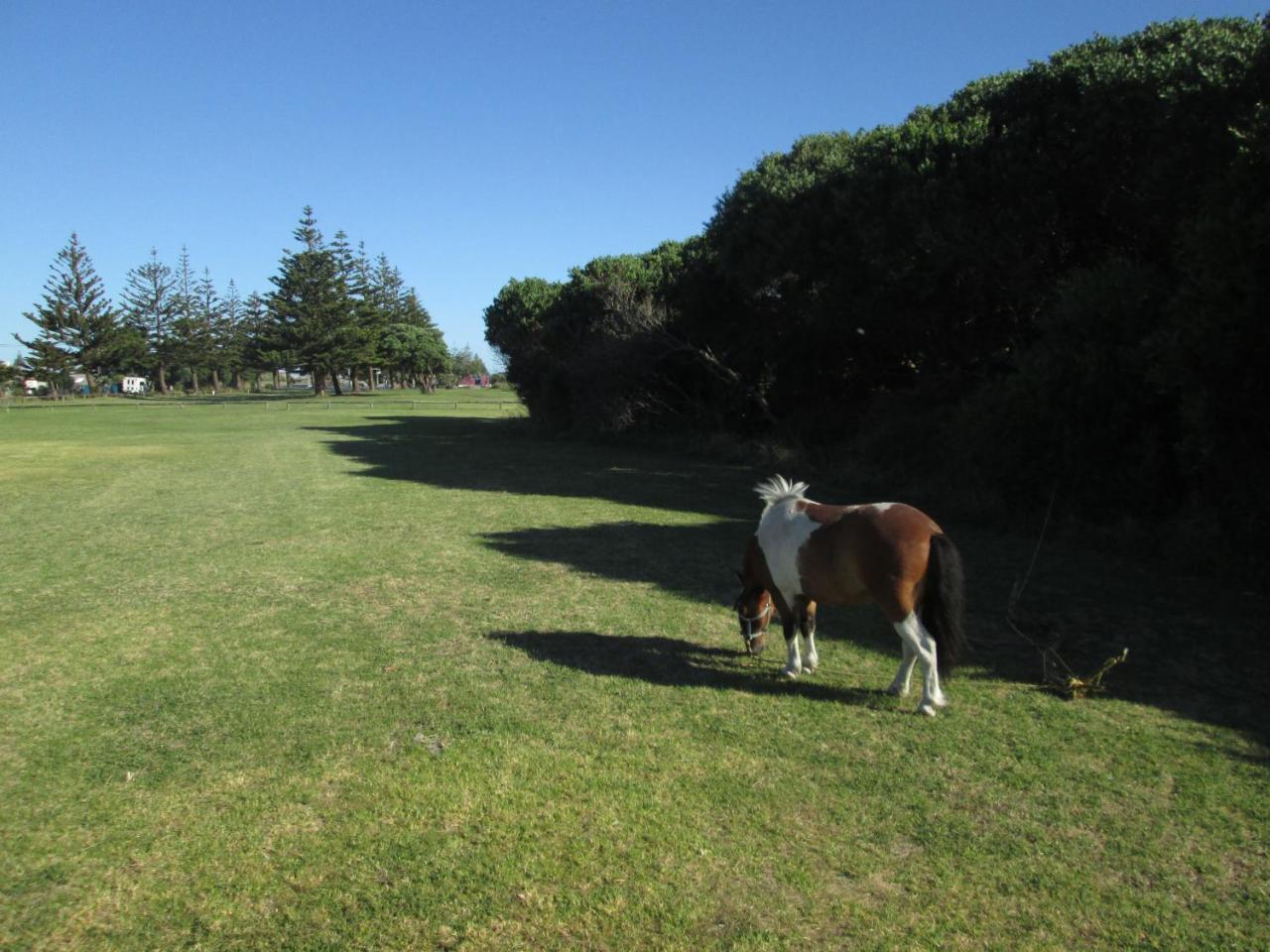 Monday Seaside Cottage Whanganui Eksteriør billede